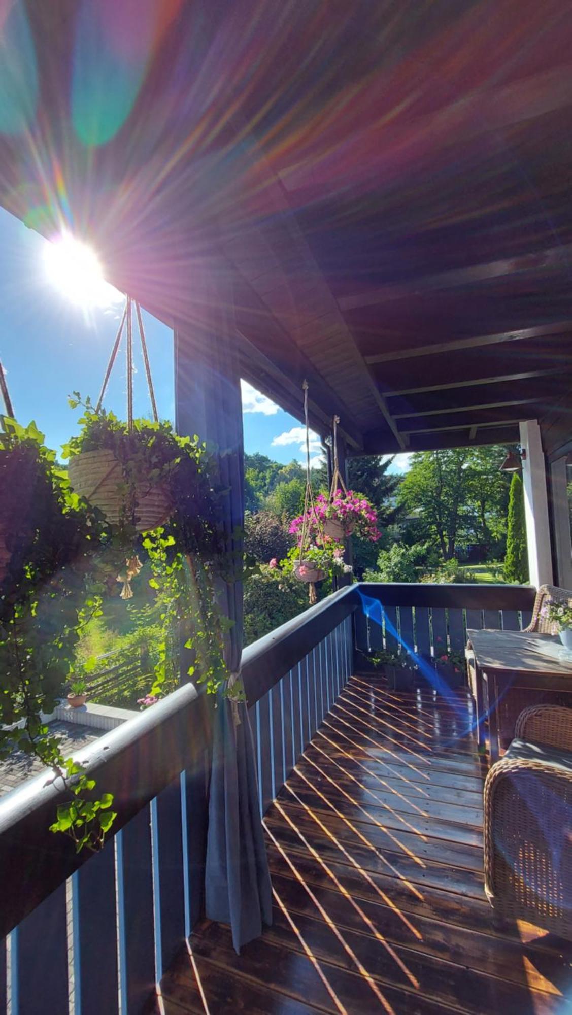 Maries Bunte Villa باد برلبورغ المظهر الخارجي الصورة